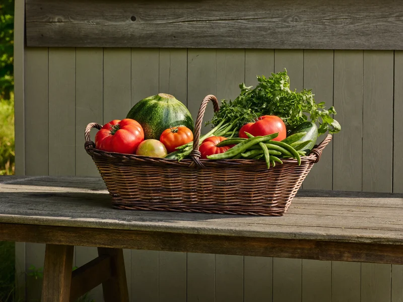 Cesto di pomodori, zucchine e fagiolini freschi su un tavolo rustico